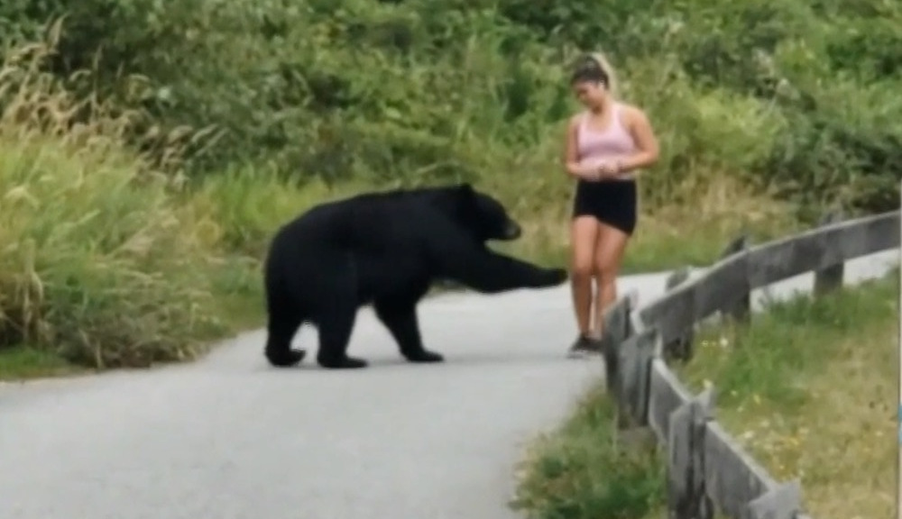 Ver: Bear se pone delicado con un corredor sorprendido