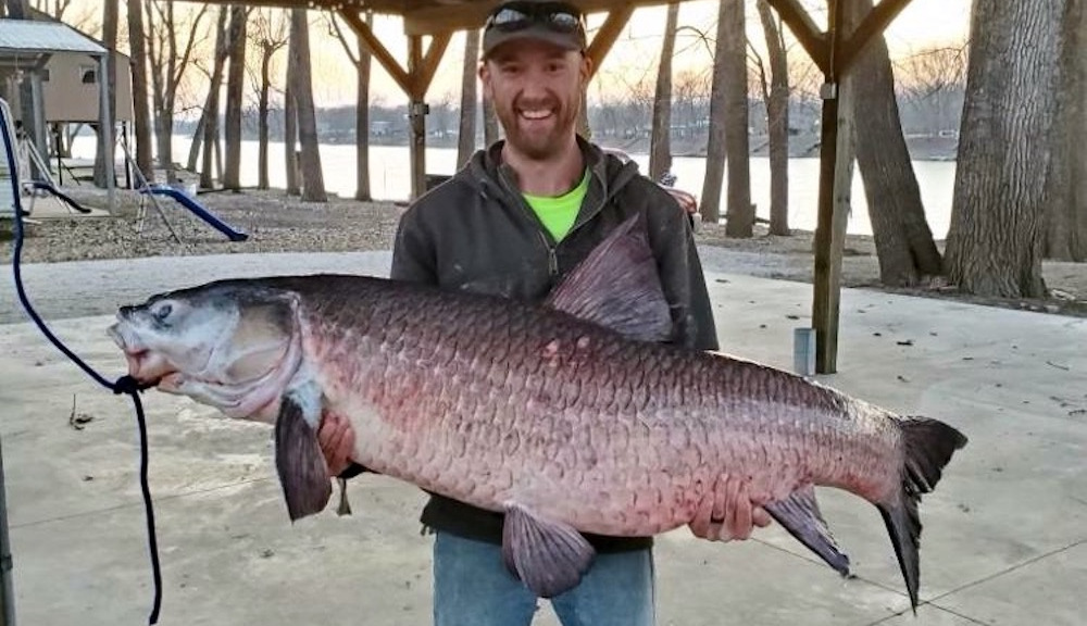 Pescador sorprendido al capturar un pez 'destructivo', un pescador de 112 libras